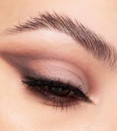 صورة كاتريس باليت ظلال عيون ذا نود موف كوليكشن 010       
