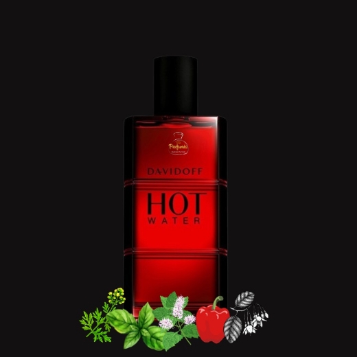 صورة دافيدوف هوت ووتر عطر 110مل رجالي
