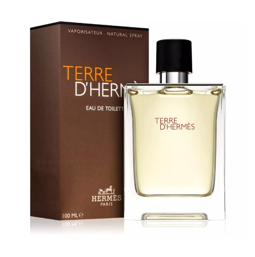 صورة هيرمس تيري دي هيرمس عطر 100مل رجالي