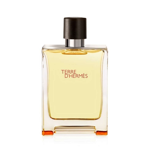صورة هيرمس تيري دي هيرمس عطر 100مل رجالي