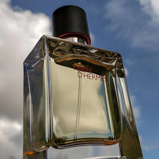 صورة هيرمس تيري دي هيرمس عطر 100مل رجالي