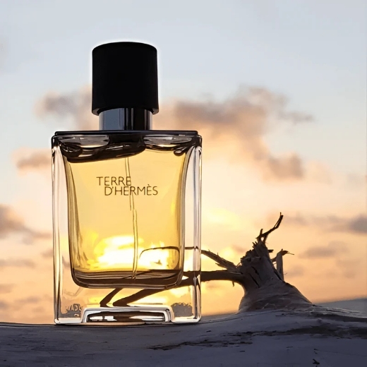 صورة هيرمس تيري دي هيرمس عطر 100مل رجالي