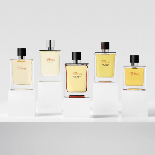 صورة هيرمس تيري دي هيرمس عطر 100مل رجالي