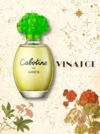 صورة جريس كابوتين عطر 100مل نسائي
