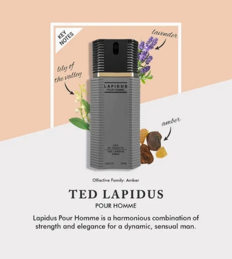 صورة تيد لابيدوس بيور هوم عطر 100مل رجالي